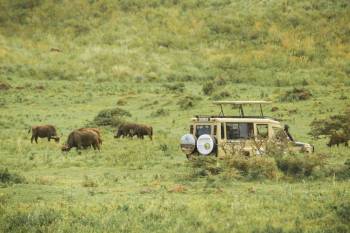 Arusha National Park Day Trip