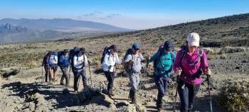 Kilimanjaro Climb Day Trip