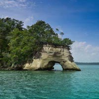 Special Family Packages (Cover All Andaman)