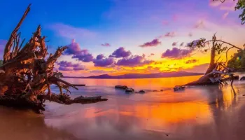 The Mysterious Islands of Andaman and Nicobar Tour