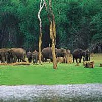 Wildlife Tour of Chhattisgarh.