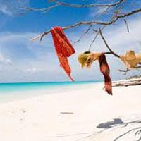 7 Day Mozambique Beach Package