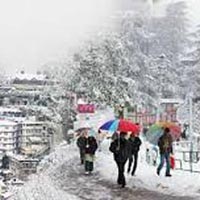 Shimla with Manali Trip