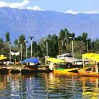 Trout Fishing In Kashmir Tour