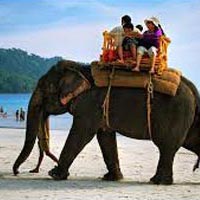 Discover Andaman's Tour
