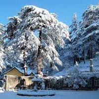 Chail Weekend Package