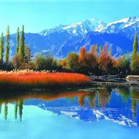 Kashmir Panorama Tour