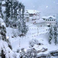 Himachal Package 5 Days : Shimla and Manali