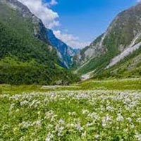 Arunachal Pradesh “Paradise of the Botanists” Tour