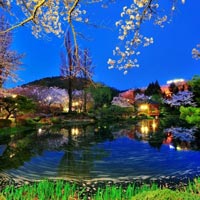 Beautiful Korea