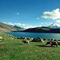 Manali-Hamta pass Trek (5 days 4 Nights) (Trekking in Himachal)