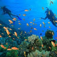 5 Nights 6 Days Andaman Special Family Tout Package