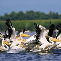 Discover The Danube Delta Tour