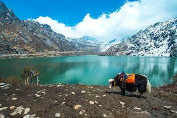 Sikkim - Darjeeling Scenic Retreat 7 Night 8 Days Tour