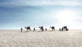 Best Of Sizzling Kutch With SOU 5Nights - 6Days