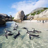 South African Sojourn Tour