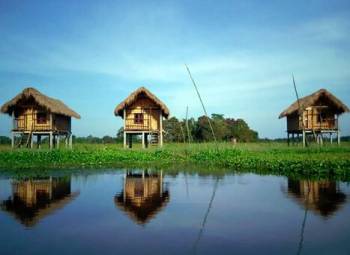 4 PAX NAGALAND 13N 14D