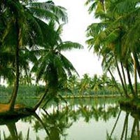 Andaman Package Half Day Tour