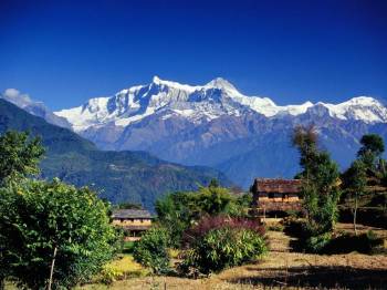 Nature & Himalayan Tour