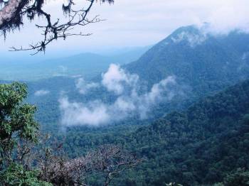 4 Days Agumbe Rainforest Trip - Monsoon Special