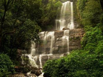 3 Days Chikmagalur Trails With Coffee Estate Stay