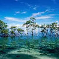 Andaman Package for 3 Nights and 4 Days Tour