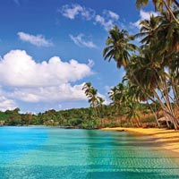 Andaman Package for 4 Nights And 5 Days Tour