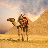 Sightseeing Egypt Tour