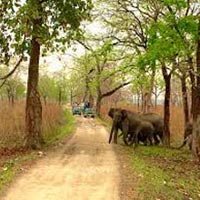 Kaziranga National Park Tour Package