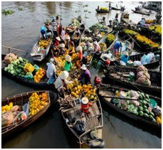 Mekong Delta Retreat