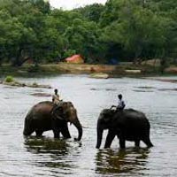 4 Blissful Days in Coorg Tour