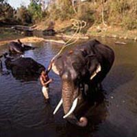 South India 15 Days Tour Package