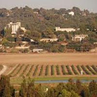 Israel Bible Land Tour