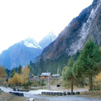 Dzongri Goecha La Trek Tour