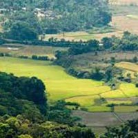 Bangalore with Ooty and Coorg Hills Tour