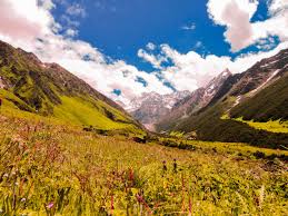 Valley of Flowers & Hemkund Sahib Trek Tour