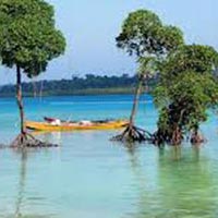 Exotic Andaman Island Tour
