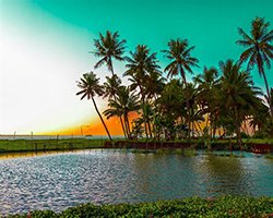 18 Nights 19 Days Kerala with a Difference Tour
