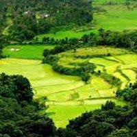 Delightful Coorg with Kabini Tour