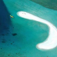 Sand Bank and Snorkeling Excursion Maldives Tour