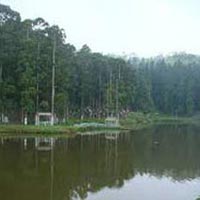 Sundarbans National Park Tour