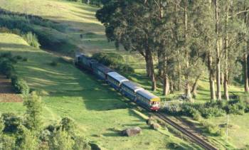 Southern Triangle Ooty Tour Packages