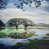 Ramayana Trails Sri Lanka Tour - 7 Days