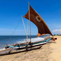 Sri Lanka East Coast Beach Tour - 11 Days