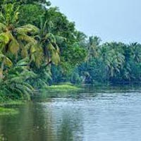 Tour Packages For Kerala (03 Days/ 02 Night)
