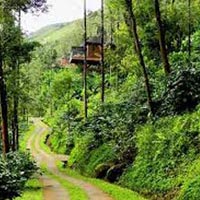 Coorg - 3 nights / 4 days Tour