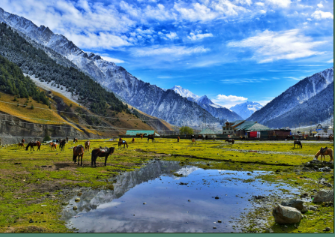7N - 8D Himachal Group Tour