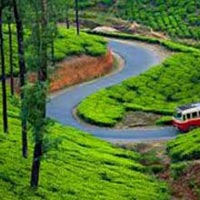 Bangalore-Mysore-Ooty Bus Package