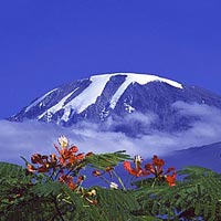 Kilimanjaro climbing Tour