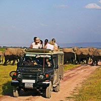 7 Day Safari Ngorongoro, Serengeti Manyara Tour